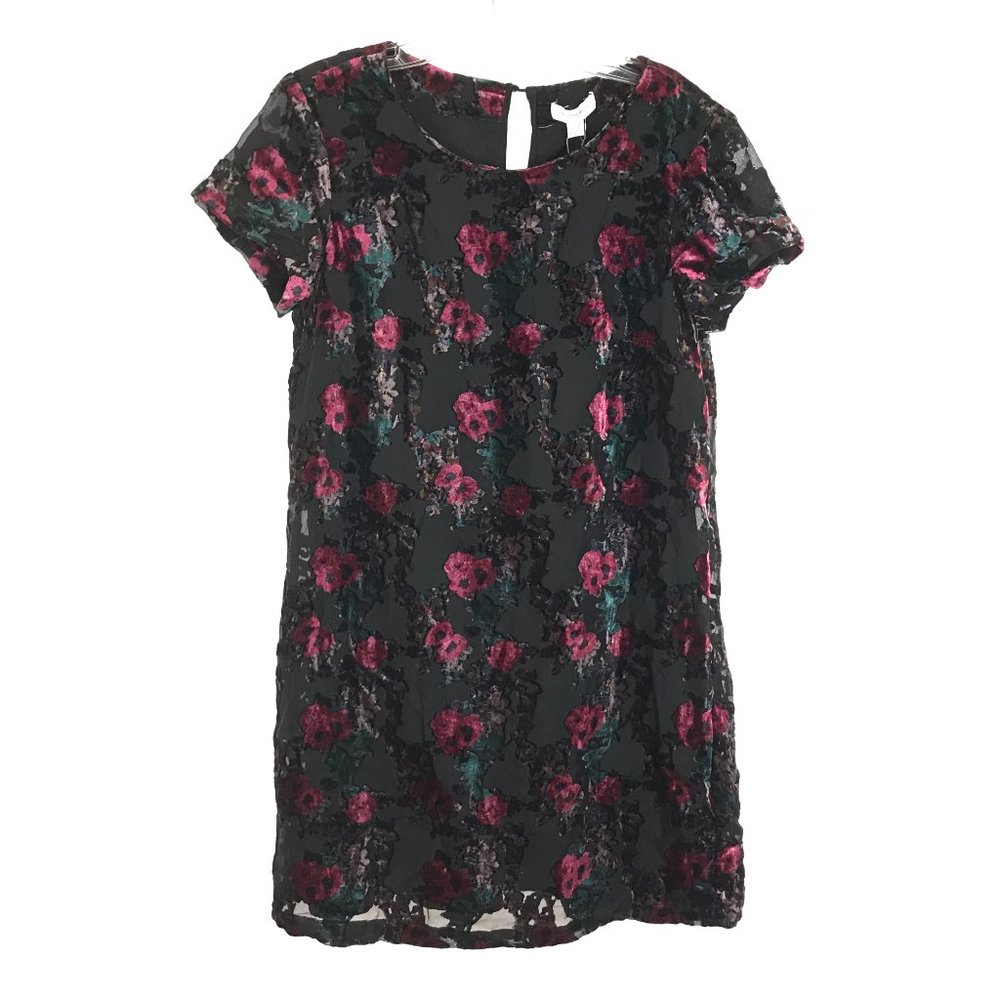 NWT Womens Size 8 Carolina Belle Multicolor Flocked Floral Velvet Mini Dress